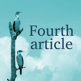 Fourth article